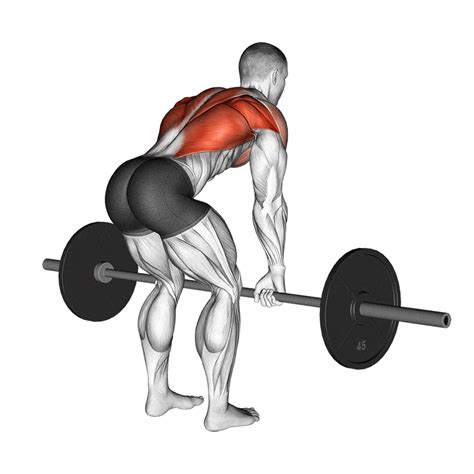 bent over barbell row gif